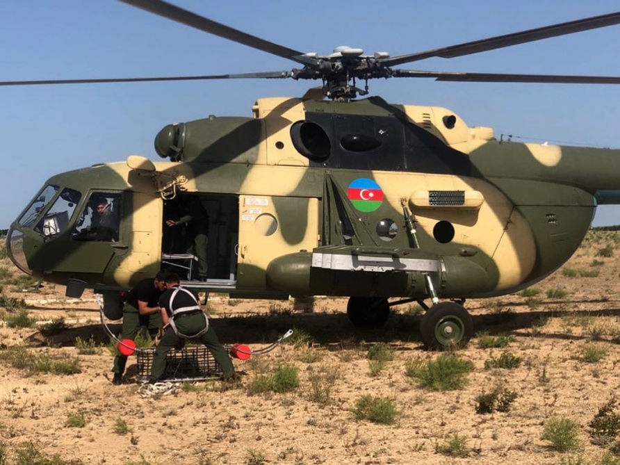 Exercices conjoints entre militaires azerbaïdjanais et turcs