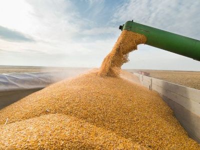 L&rsquo;exportation du blé et de l’orge de l&rsquo;Artsakh a été interdite