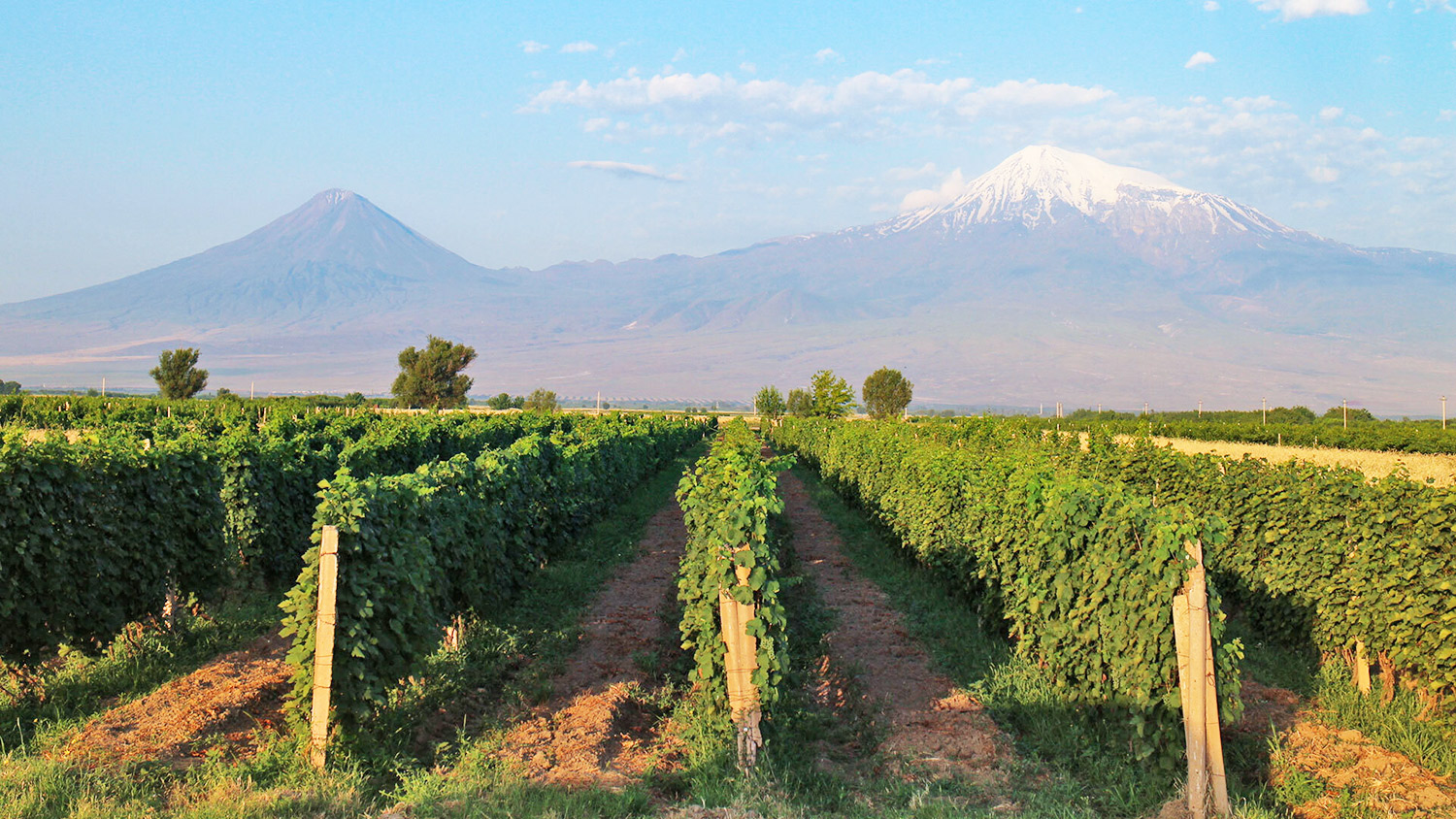 Les routes du vin raconteront l&rsquo;histoire de la viticulture arménienne et attireront des flux de touristes en Arménie