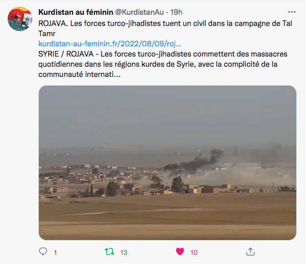 Kurdistan au féminin : les crimes quotidiens des turco-djihadistes