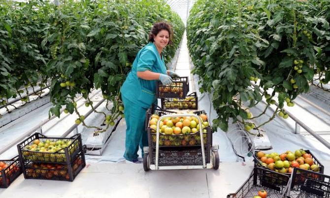 Le volume de la production agricole de l&rsquo;Arménie a augmenté de 13 % en 2021 par rapport à 2020