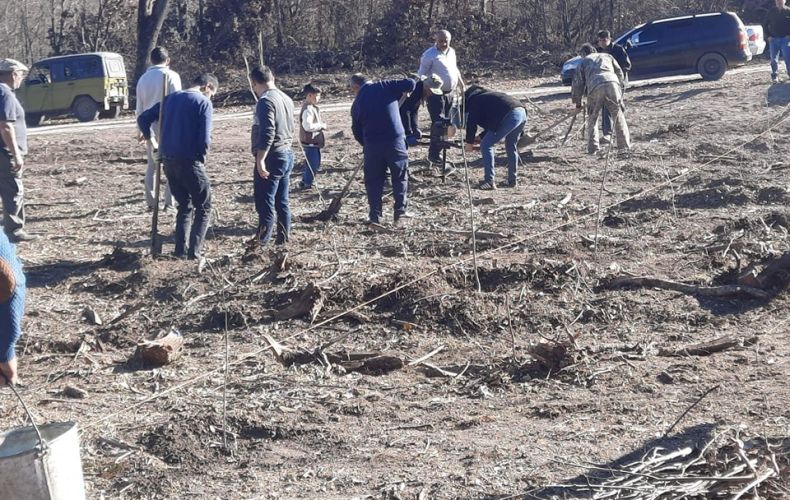 Plus d’un millier d’arbres ont été plantés dans le village de Dahraz de la région d’Askeran (Artsakh)