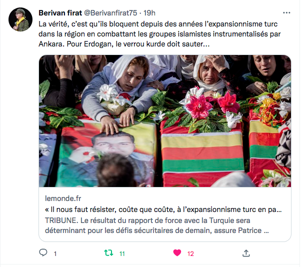 Berivan Firat : Pour Erdogan le verrou kurde doit sauter