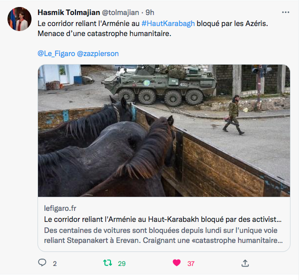 Hasmik Tolmajian : menace de catastrophe humanitaire