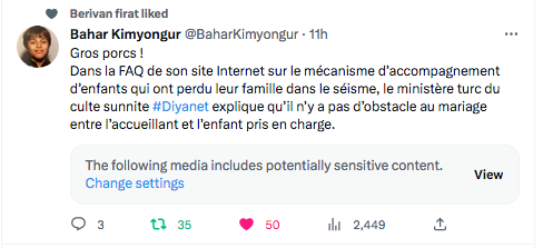 Bahar Kimyongur : Les gros porcs !