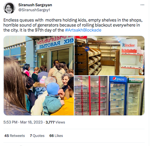 Siranush Sargsyan : les queues sans fin devant des boutiques vides