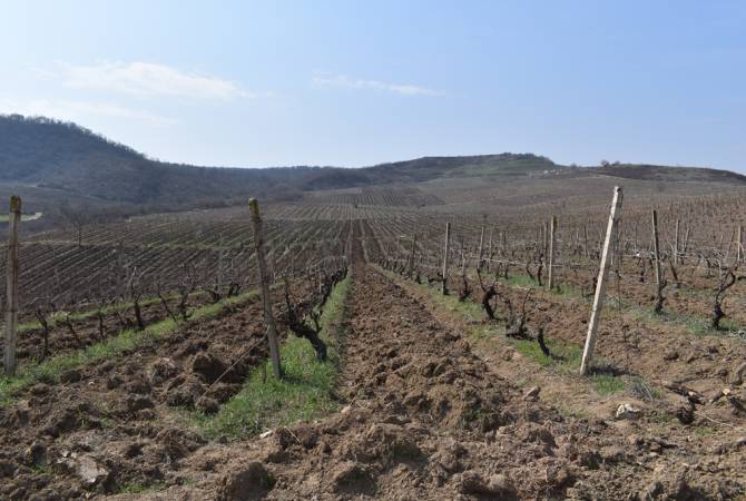 En Artsakh, l&rsquo;Azerbaïdjan a ouvert le feu sur des civils Arméniens effectuant des travaux agricoles