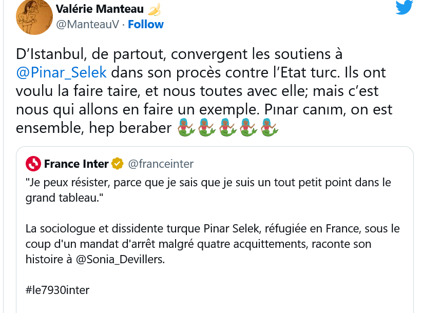 V. Manteau : Soutien à Pinar Selek