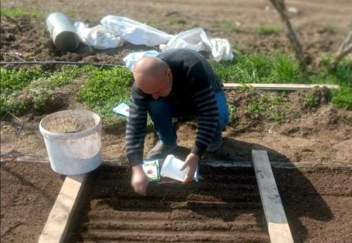 ATP et l&rsquo;ONG Greenlane distribuent des boîtes de semences de légumes en Artsakh