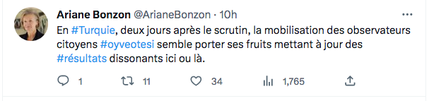 Ariane Bonzon : Turquie, mise à jour de résultats dissonants.