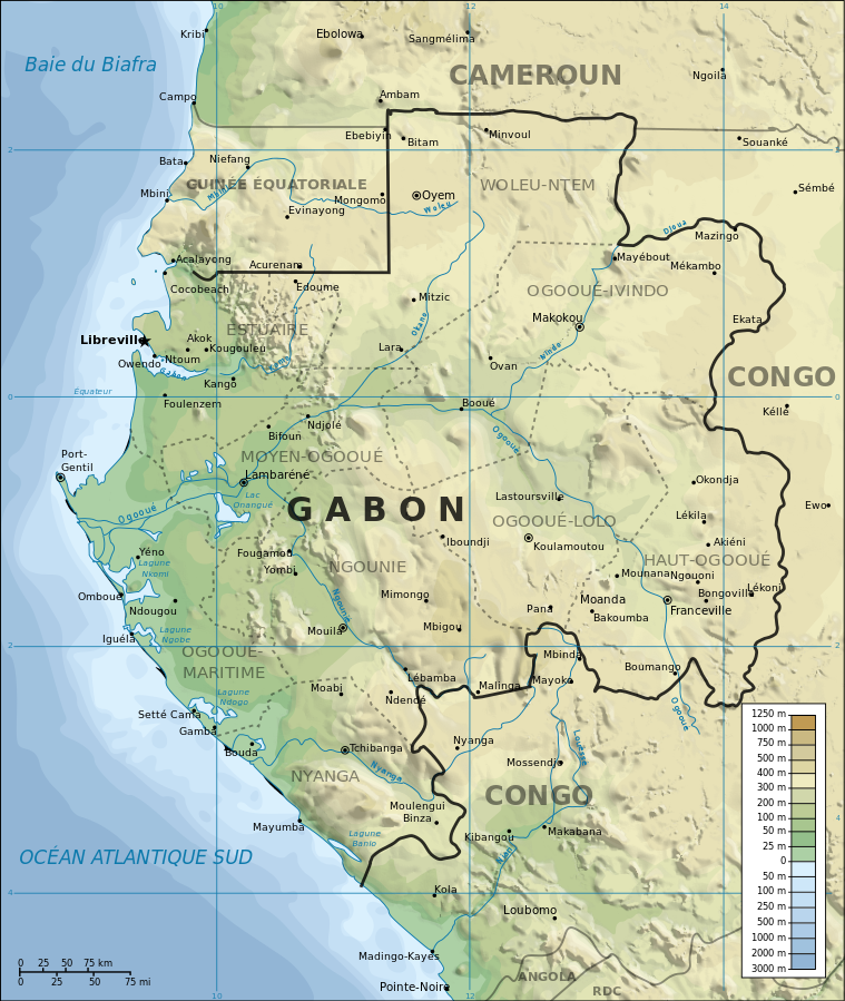 La Géorgie annonce la libération de ses deux marins enlevés par des pirates au large du Gabon