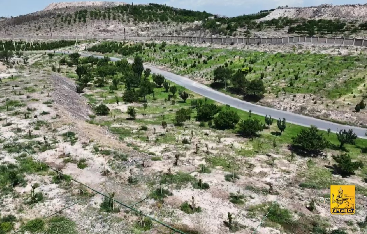 Environ 35 hectares de nouvelles zones forestières ont été plantés à Erevan