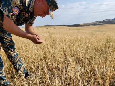 En Artsakh, les soldats du feu surveillent le processus d&rsquo;organisation de la récolte sans perte des céréales