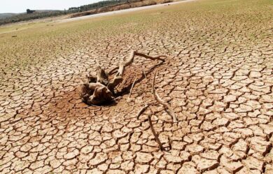 Manifestation à Bagdad contre les pénuries d&rsquo;eau et d&rsquo;électricité