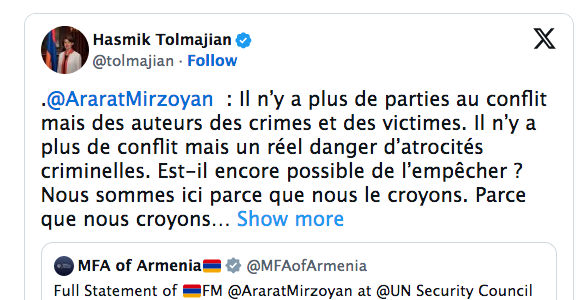 .@AraratMirzoyan   : Il n’y a plus de parties au conflit mais des auteurs des crimes et des victimes.