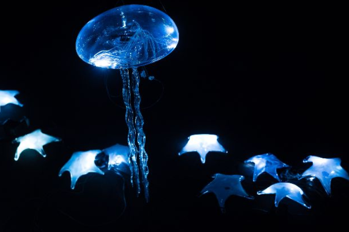 « Water » à la Fondation Boghossian