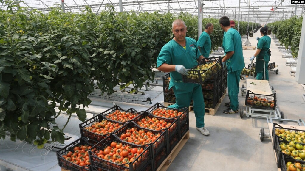 La Russie défend les restrictions imposées aux importations de produits alimentaires « toxiques » en provenance d’Arménie