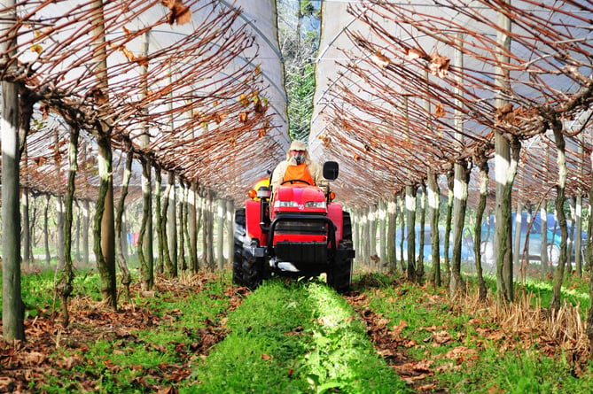 Plus de 200 entités agricoles arméniennes bénéficient de technologies « vertes » dans le cadre d&rsquo;un programme de l&rsquo;UE