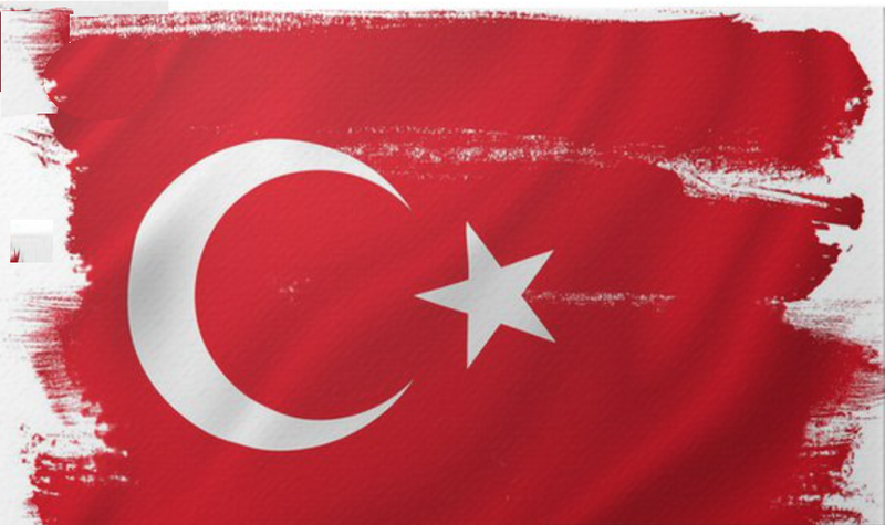 Daron Acemoğlu : La Turquie au bord de l&rsquo;effondrement