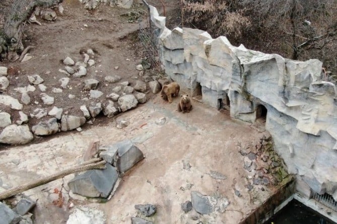 Le zoo va être agrandi pour atteindre 34 hectares