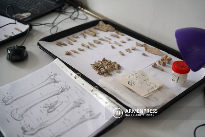 Des milliers de reliques découvertes dans une tombe vieille de 6 000 ans dans un village arménien