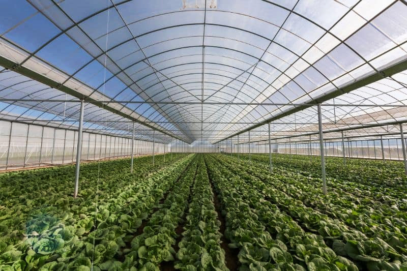 Chypre va financer la construction de 10 serres pour les familles déplacées d&rsquo;Artsakh