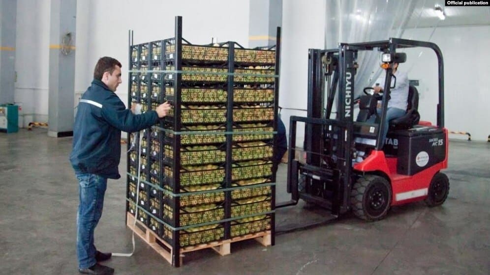 Erevan se démène pour débloquer les exportations de fruits arméniens vers la Russie