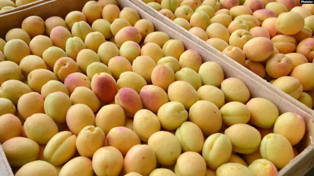 Les restrictions russes sur les importations agricoles en provenance d&rsquo;Arménie sont toujours en place