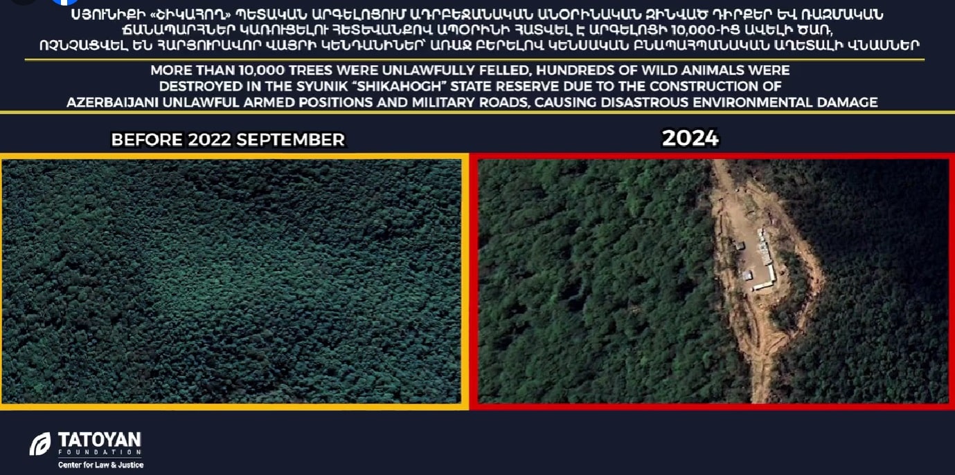 L’Azerbaïdjan qui organise la COP29 abat des milliers d&rsquo;arbres dans la forêt de Shikahogh en Arménie même pour construire des positions militaires