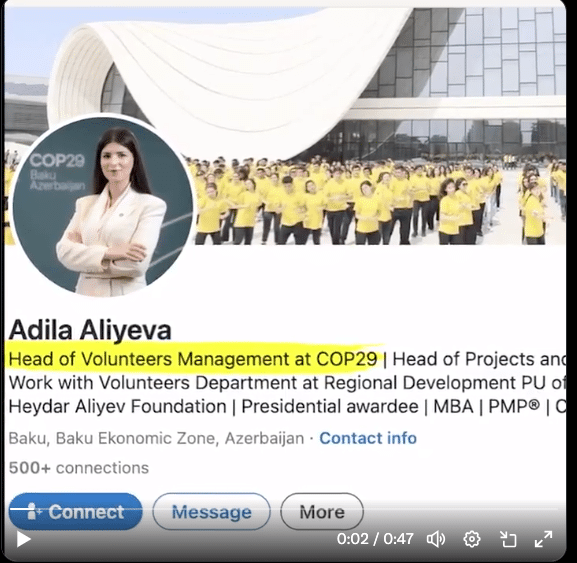 Les faux éco-activistes de la COP 29