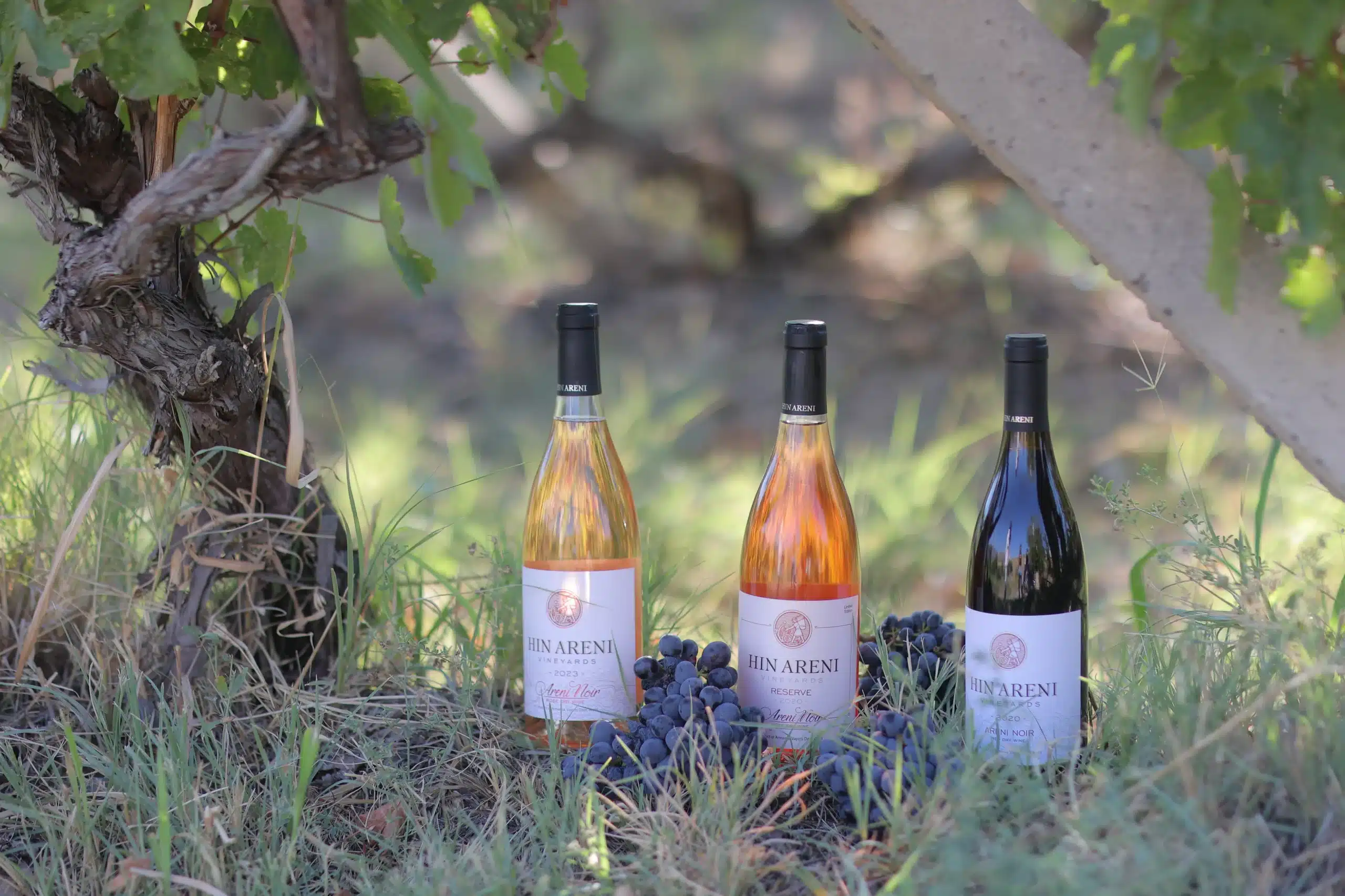 Le vin arménien Hin Aréni est devenu le gagnant de Top100wines.ru (Forbes Russie) pour la première fois de l&rsquo;histoire