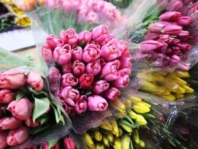 L&rsquo;Arménie est le deuxième plus grand fournisseur de fleurs de la Russie en 2024