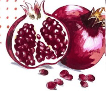 Semaine culturelle à Lyon et aux alentours