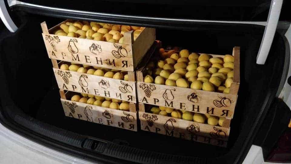 863 camions chargés d&rsquo;abricots d’Arménie ont traversé la frontière russo-géorgienne en juin