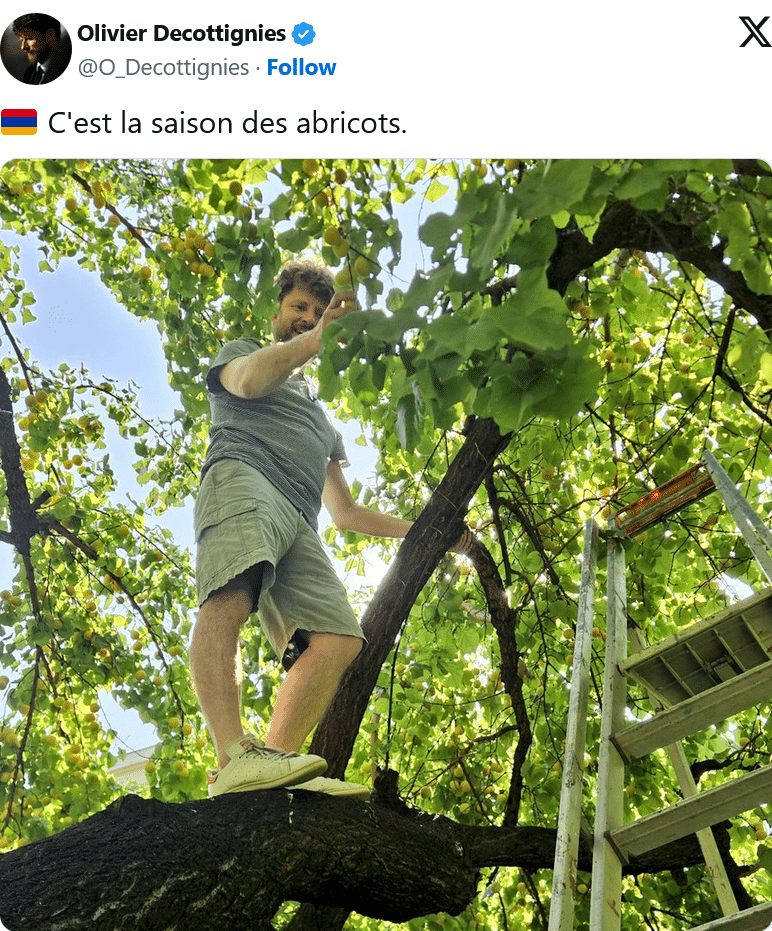 O. Decottignies : Saison des abricots