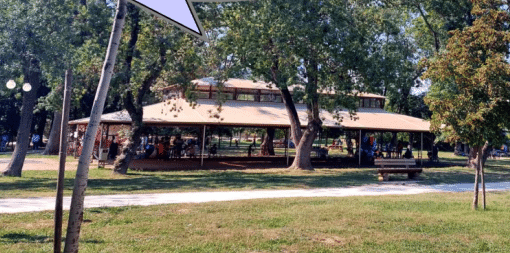 Tachtahantes à Mandelieu-La Napoule le 10 août