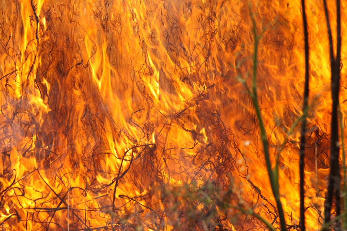 Turquie: violents incendies aux portes de la quatrième ville du pays