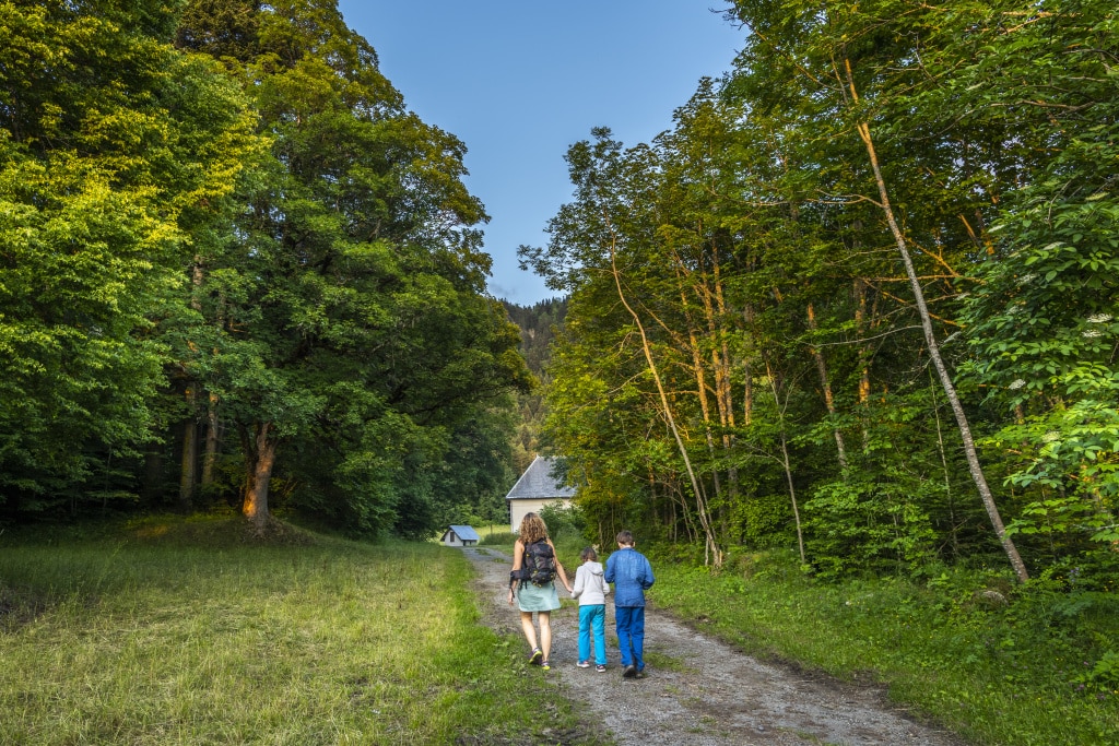 Balade botanique et ballades arméniennes à Grenoble le 28 juillet