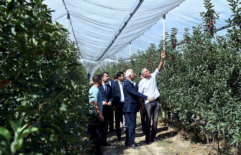 Le Président arménien Vahagn Khatchatourian a pris connaissance du programme de maraîchage intensif dans la région de Kotayk et a visité des vergers de pommiers