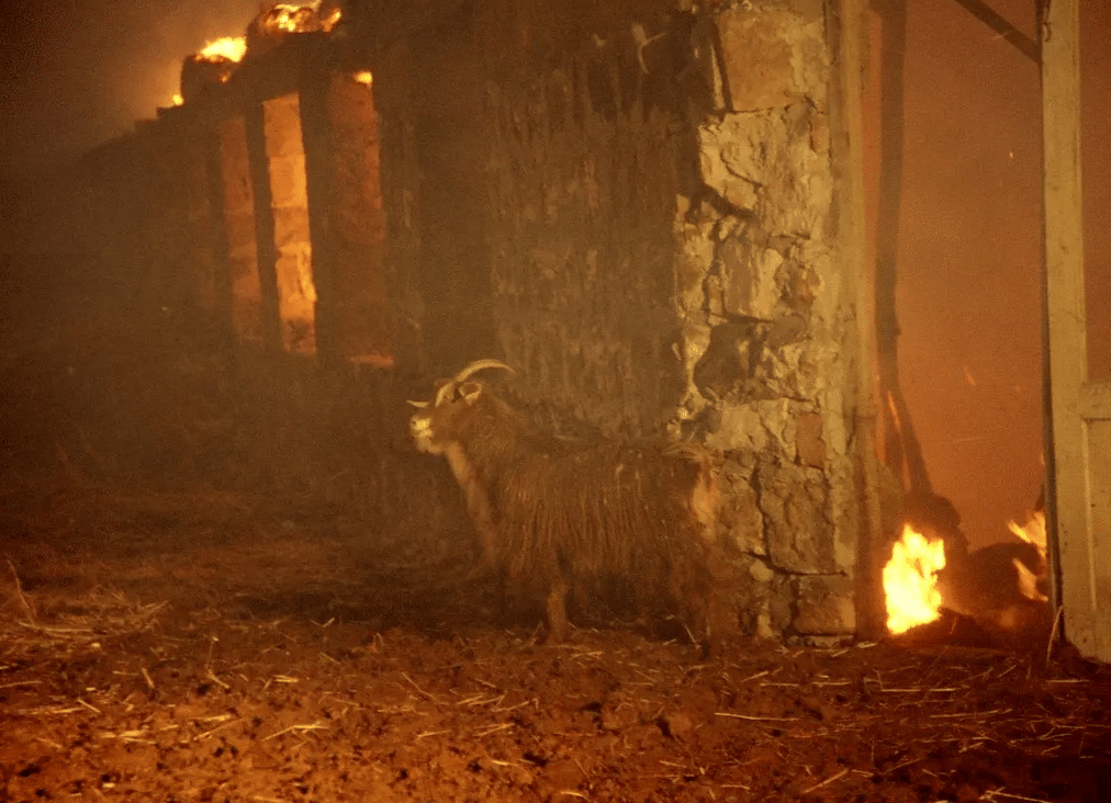 Une journée avec le cinéaste Harutyun Khachatryan à Paris le 11 octobre