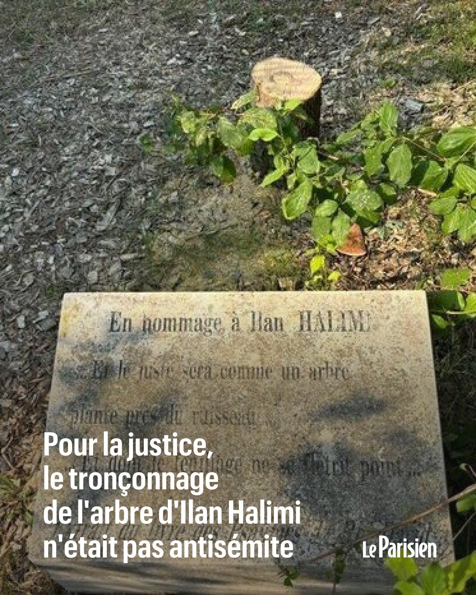 Marc Knobel : olivier tronçonné, la justice peut-elle vraiment s’aveugler ainsi face à l’antisémitisme ?