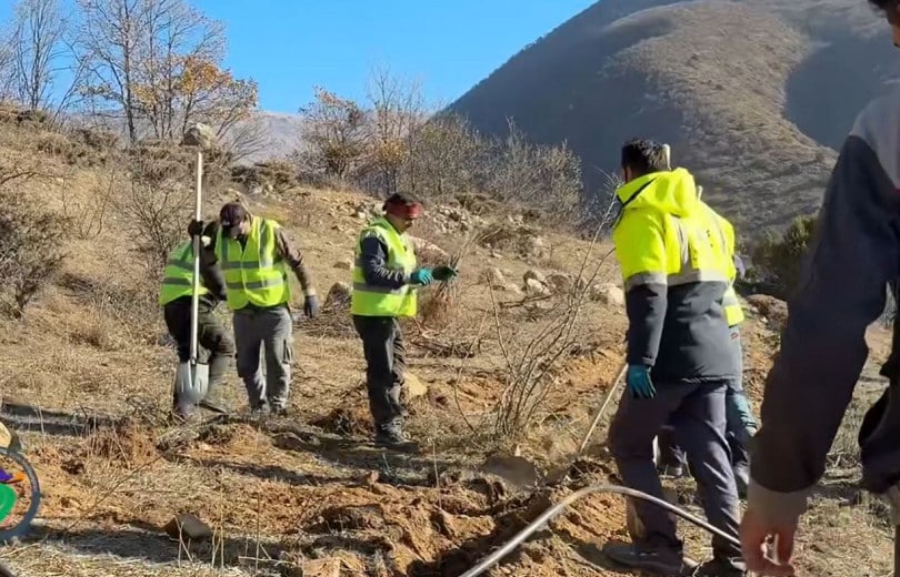 Environ 7 500 arbres seront plantés sur une superficie d&rsquo;environ 1,5 hectare près de Meghri dans la région de Syunik au sud de l’Arménie