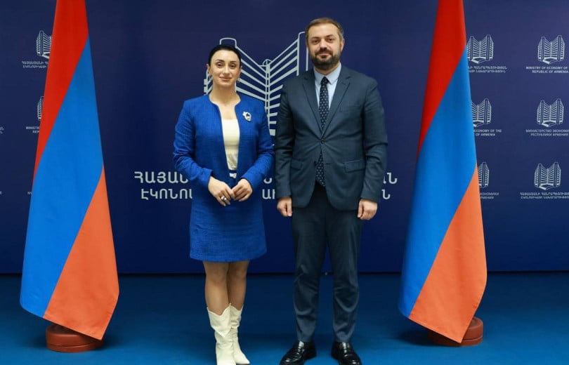 Nazik Avdalyan a présenté à Gevorg Papoyan le programme de création d&rsquo;un centre sportif et éducatif dans la région de Chirak