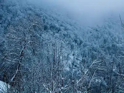 Temps printanier dans la région de Tavush et Syunik (Arménie), avec une température de 14 à 18 degrés à Idjevan, Bagratashen, Goris et Kapan, aujourd’hui à 14h00