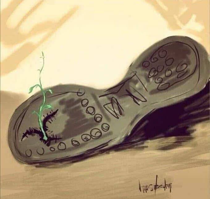 Le message de Taner Akçam pour le 19 anniversaire de l&rsquo;assassinat de Hrant Dink