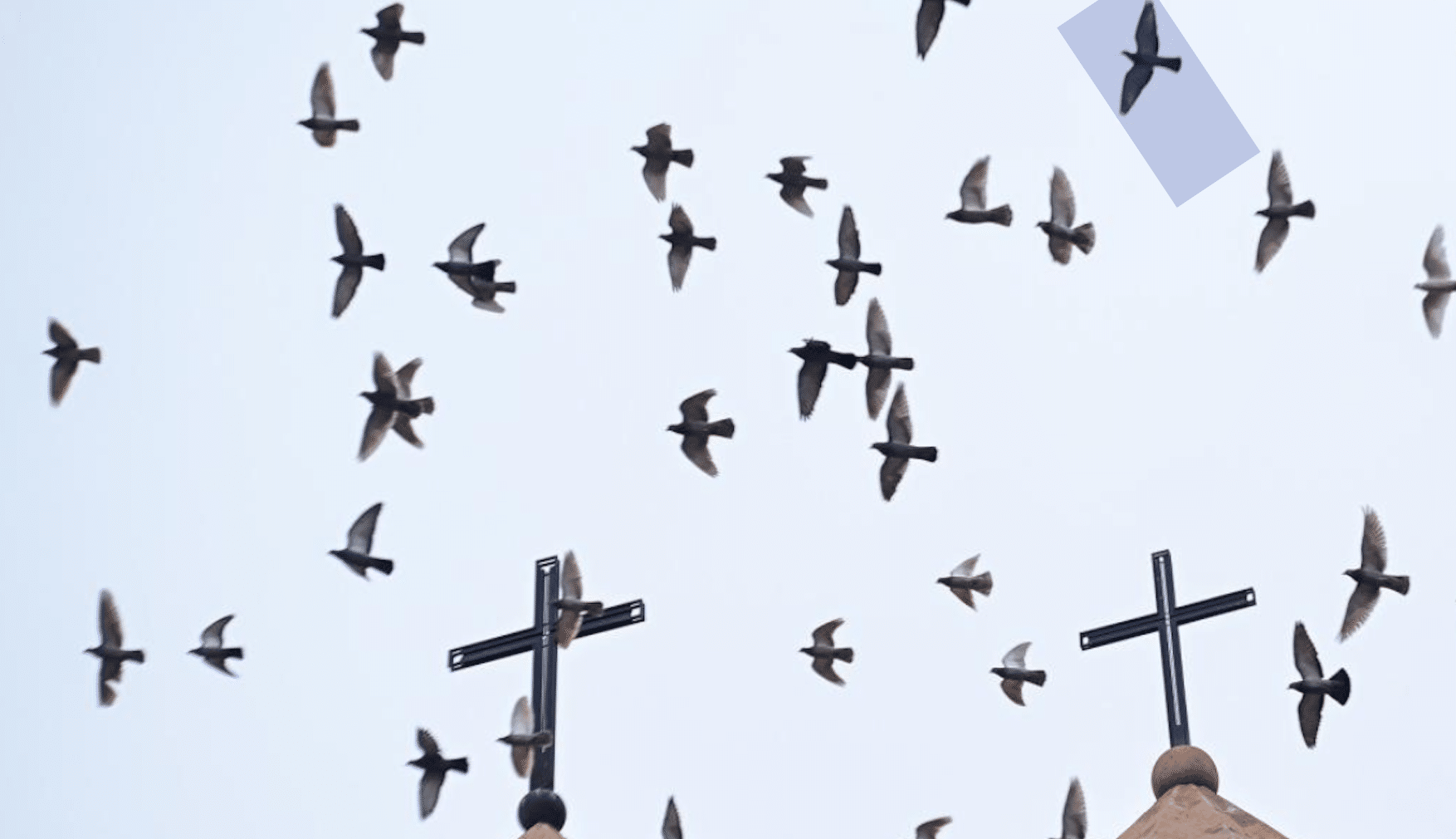 Le conseil de réforme de l&rsquo;Église dénonce la réunion prévue des évêques à l&rsquo;étranger