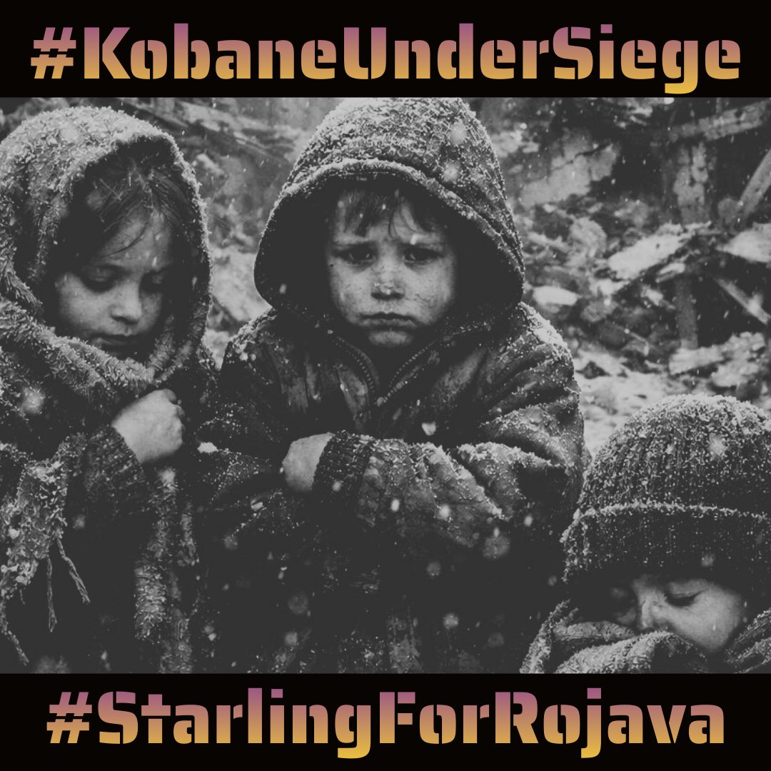 Un parti turc prokurde appelle à la « levée du siège de Kobané »