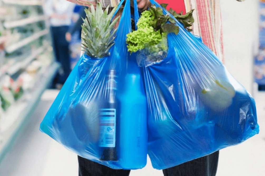 La vente de sacs en polyéthylène et de vaisselle en plastique à usage unique sera interdite en Arménie à partir de 2027