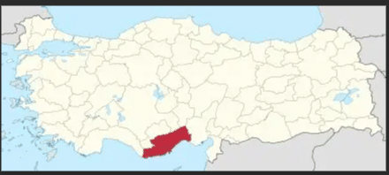 Turquie: de la viande de cheval découverte dans une soupe populaire à Mersin