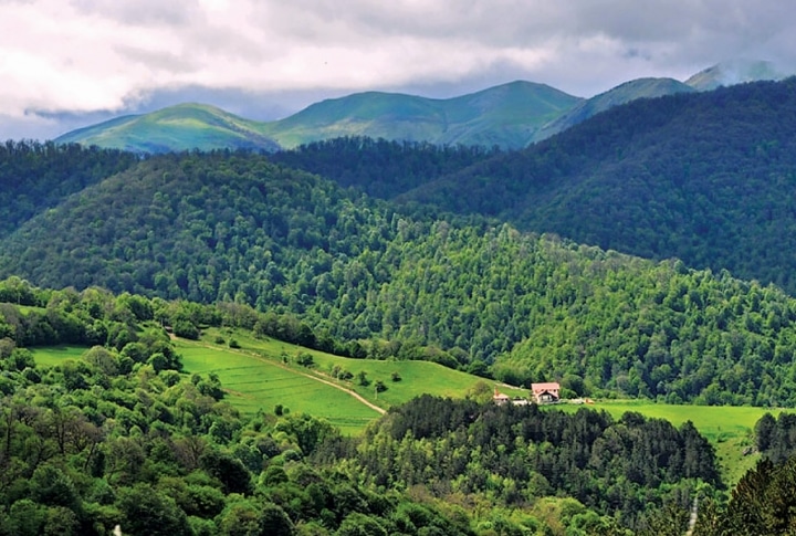 Un homme de 41 ans, blessé lors d&rsquo;une explosion d’une mine dans la région de Tavush au nord-est de l’Arménie, alors qu’il se rendait dans un champ pour retrouver sa vache perdue